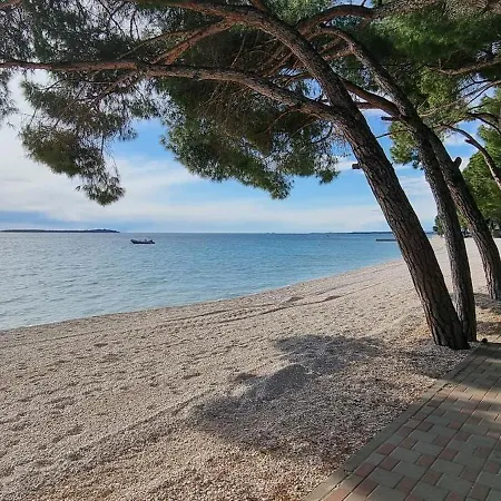 Istrian Blue Pearl *