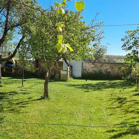 Istrian Blue Pearl Apartment